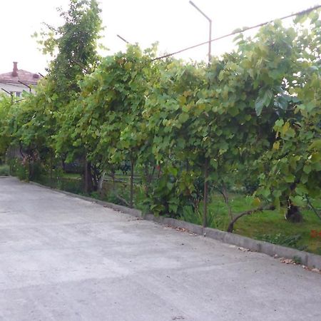 Guest House U Aleny Gagra Dış mekan fotoğraf